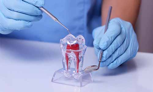 Endodontia